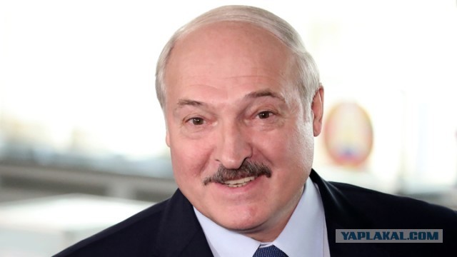Фото от которых вам станет неприятно