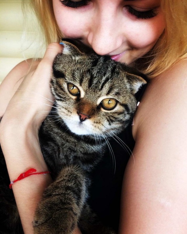 Девушки котовторника