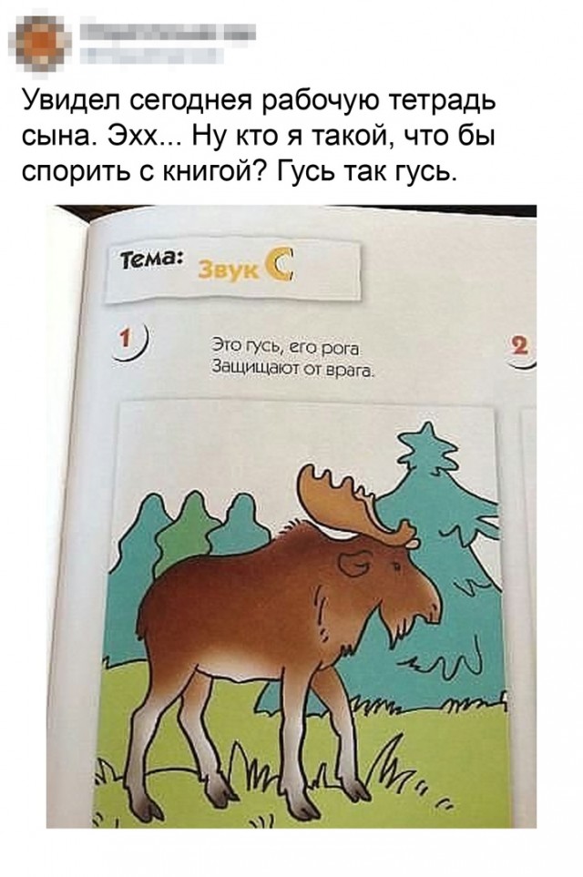 Так себе картинки 21.03.21