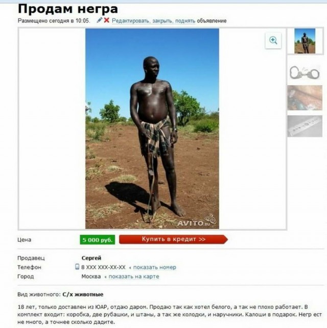 Чудики с Авито