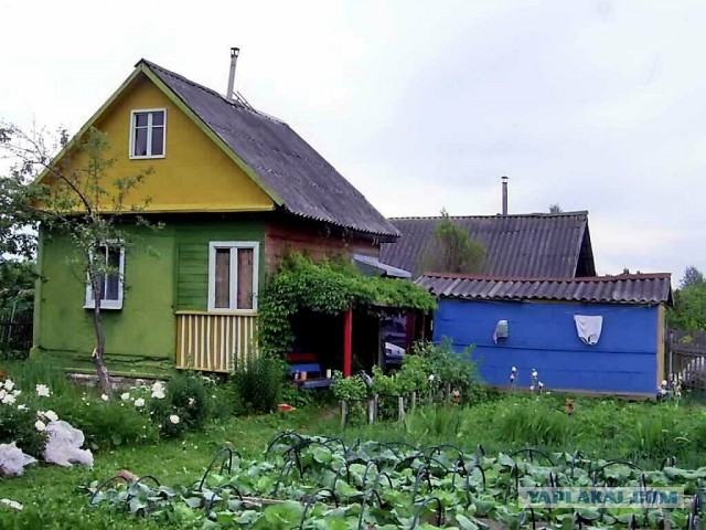 Дачные зарисовки