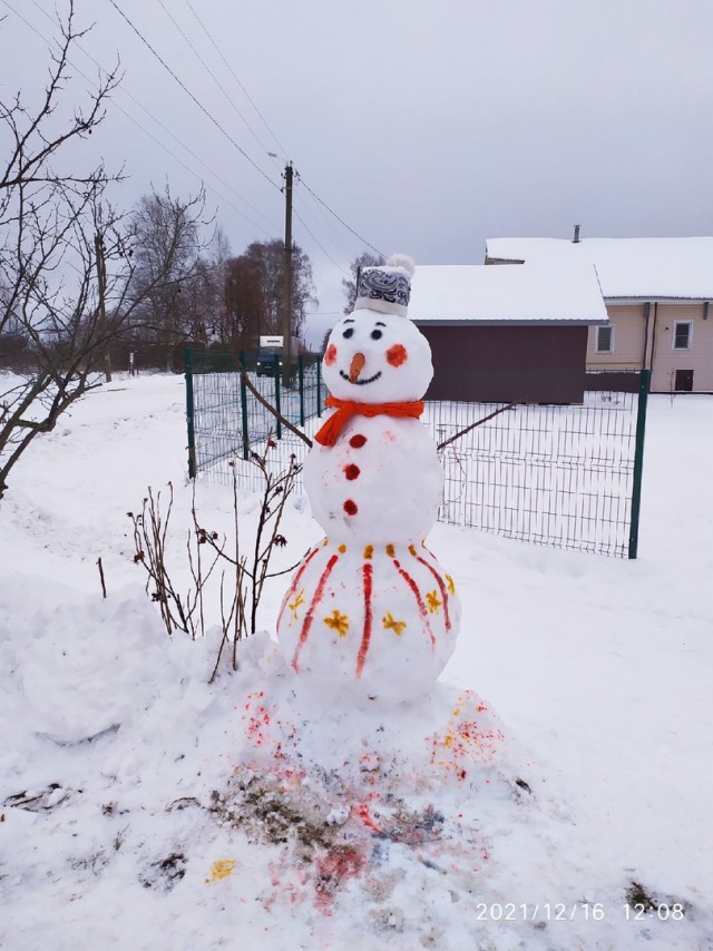 Норвежский король