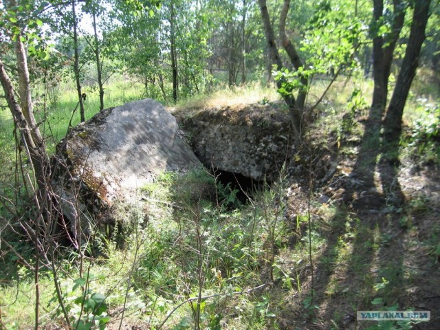 Форты Бреста