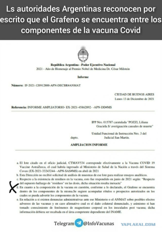 Зомби-апокалипсис 2022