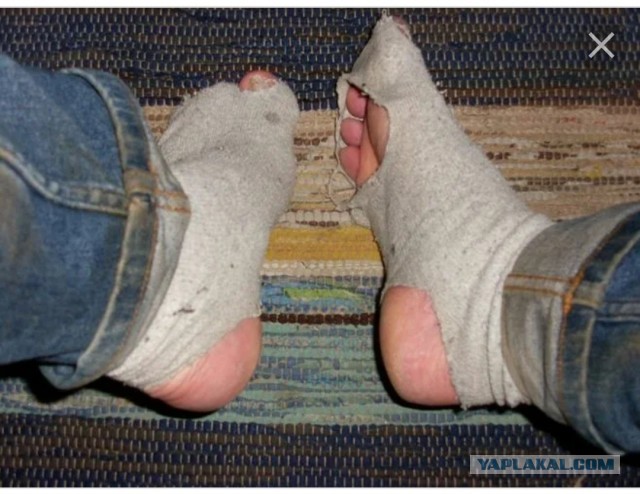 Дать ТП п**ды или просто нагрубить в воспитательных целях?