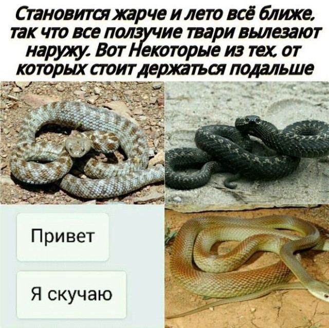Картинки и мемы, всем хороших выходных