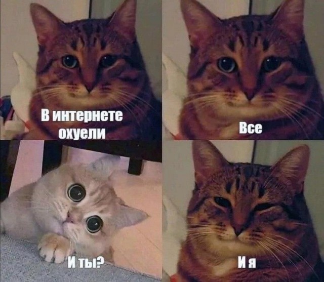 Осень-еб*сосень