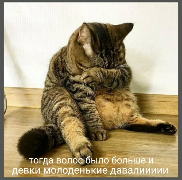Утрём ка нос жертвам ЕГЭ