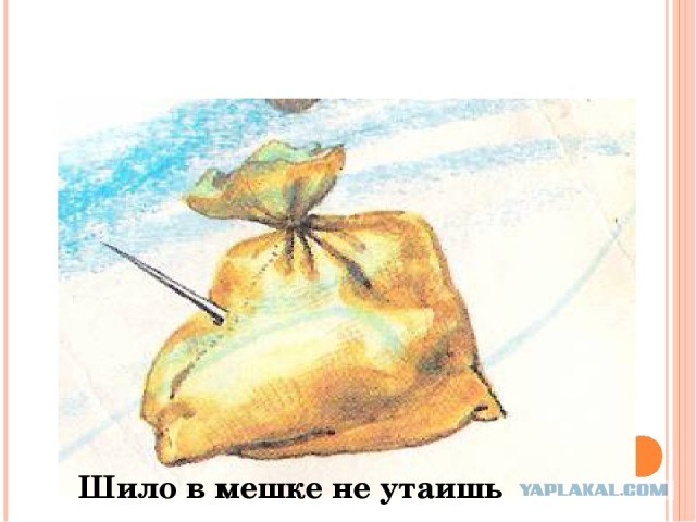 «Единая Россия» рекомендовала депутатам не материться и не постить «роскошь» в соцсетях