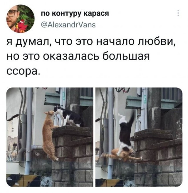 Скриншоты и комментарии из социальных сетей 28.12.22