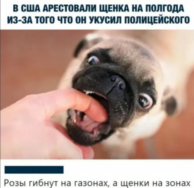 Картинки с надписями 28.01.23