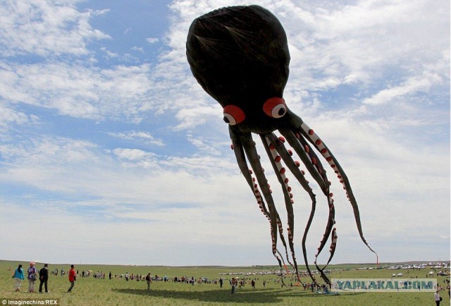 Парочка НЛО