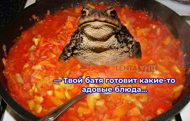 Победная поступь идиотизма по планете – том 8