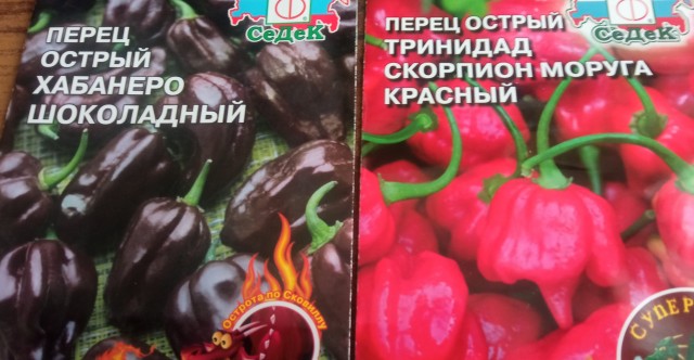 Пол года трудов уничтожено за 5 секунд