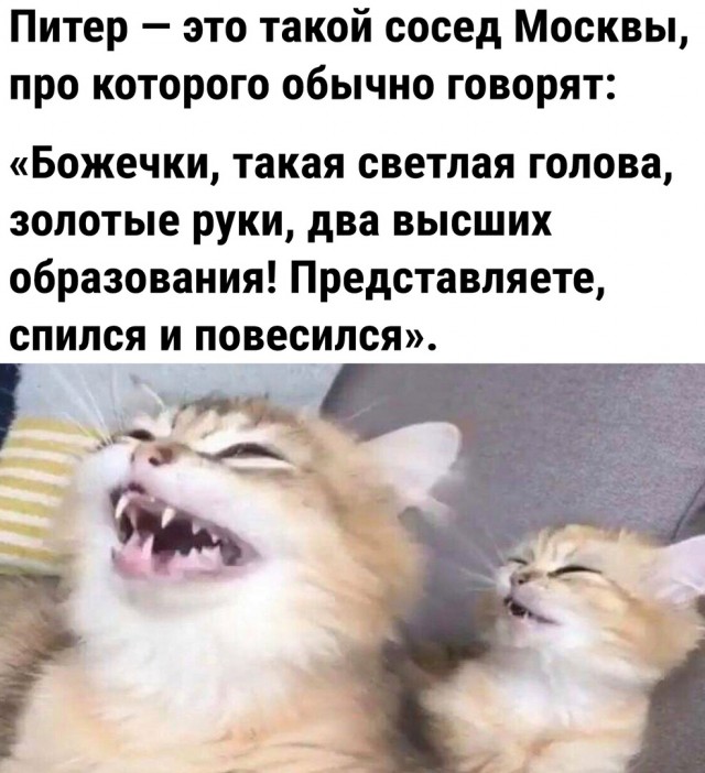Так себе картинки 06.05.23