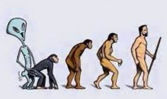 От первых клеток к Homo sapiens: посмотрите на 4 миллиарда лет эволюции в одной картинке