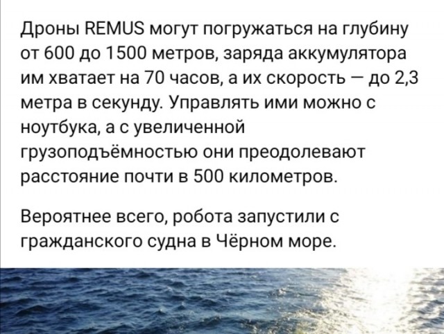 Мост был атакован подводным роботом REMUS 600