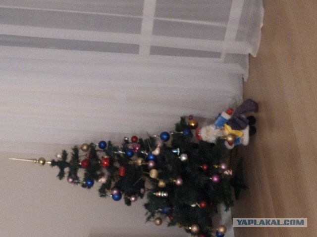 Показываем свои деревья