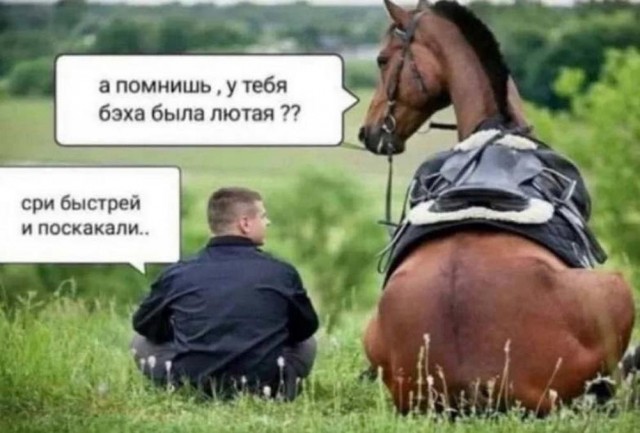 Тлидцать тли от 20 маЛта