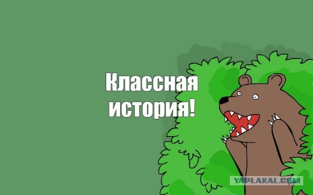 Чем крепить профлист на заборе.  Заклепки или саморезы?
