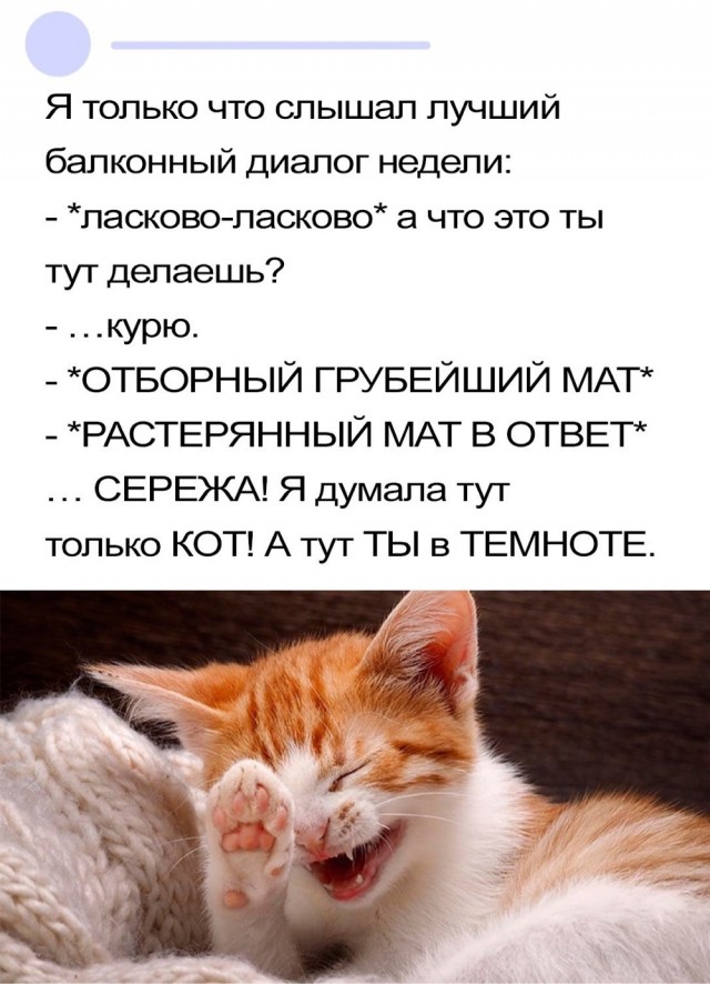 Так себе картинки 29.04.24