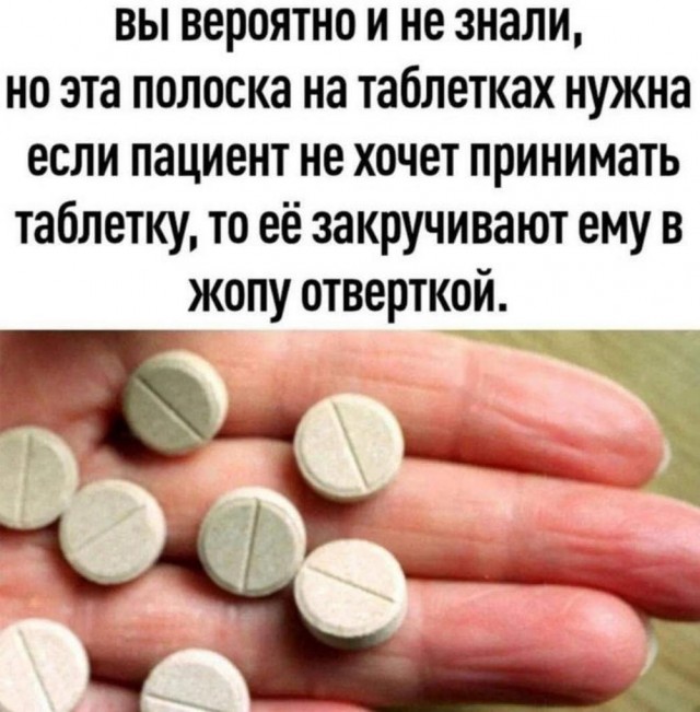 Подпеваем и деградируем вместе