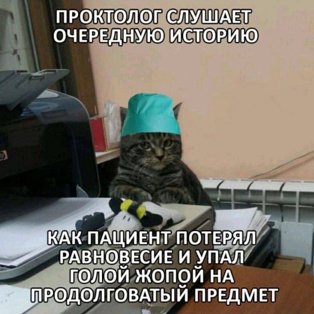 Всего понемногу. От 01.11.2024