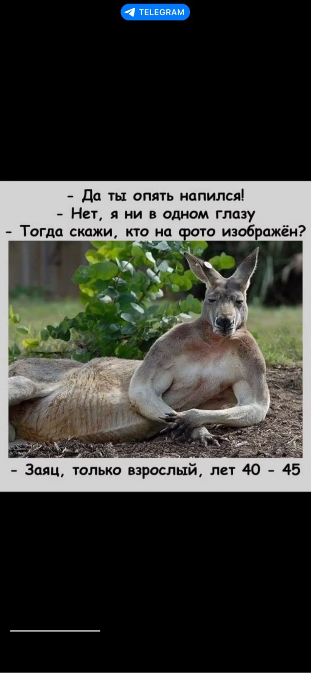 Быстрая деградация