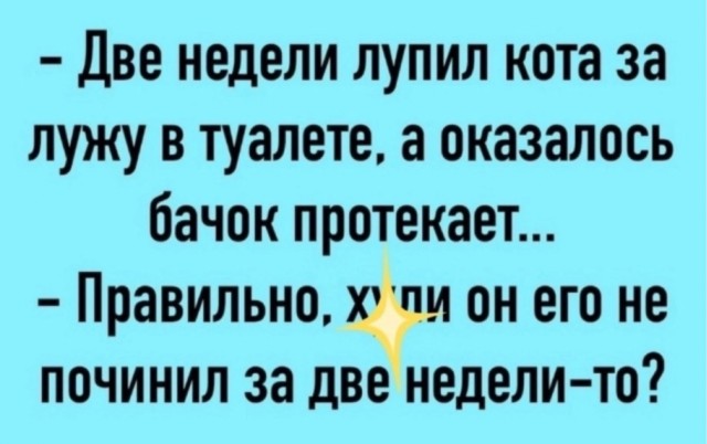 Веселые картинки во вторник (03.12)