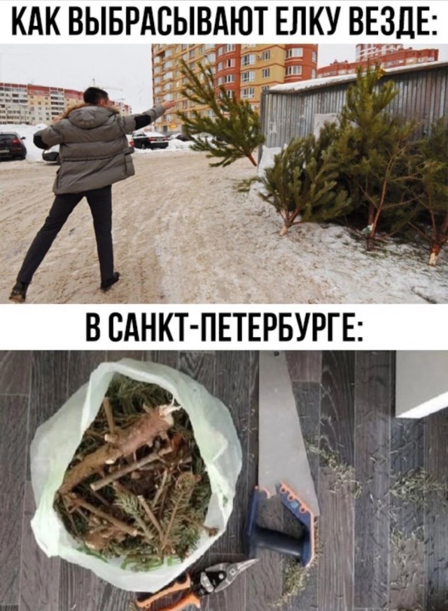 Веселые картинки после длинных выходных (09.01)