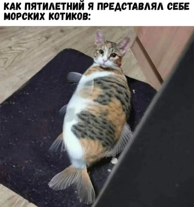 30 картинок на субботу
