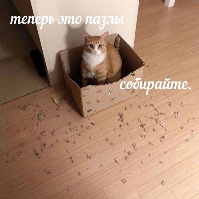 Завалялось тут случайно немного забавных картинок