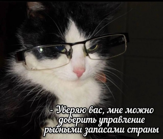 Так себе картинки 30.03.25