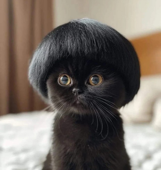 Вторник.Пресс секретарь