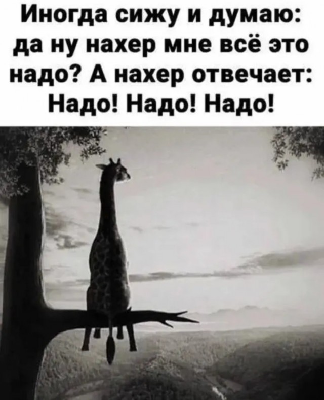 Завалялось тут случайно немного забавных картинок