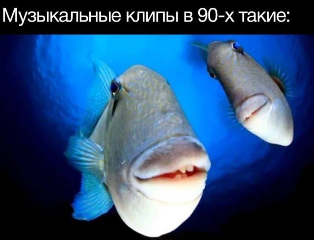 Забавные комментарии, которые как острый соус приправляют сам пост
