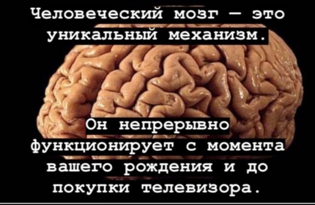 Так себе картинки 18.08.25