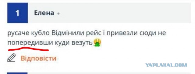 Украинка купила горящую путёвку в Турцию не глядя и попала