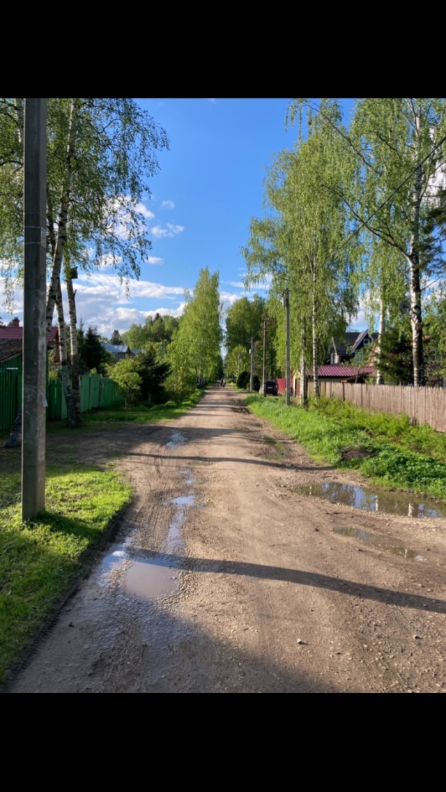 От осени до осени
