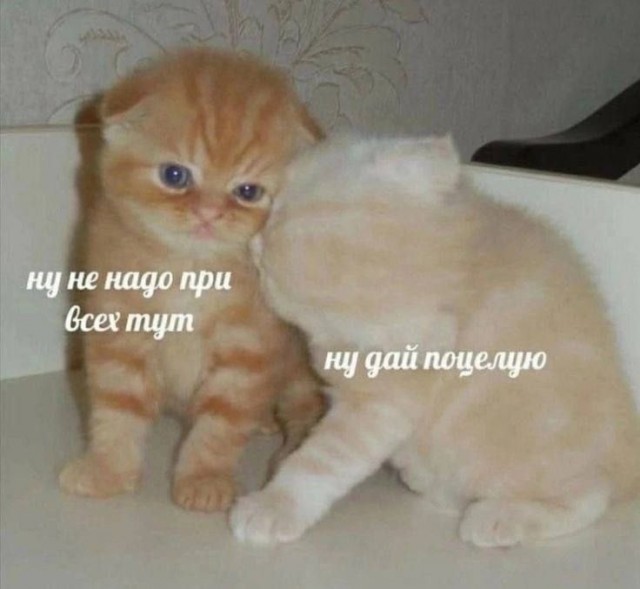 Так себе картинки 26.09.25