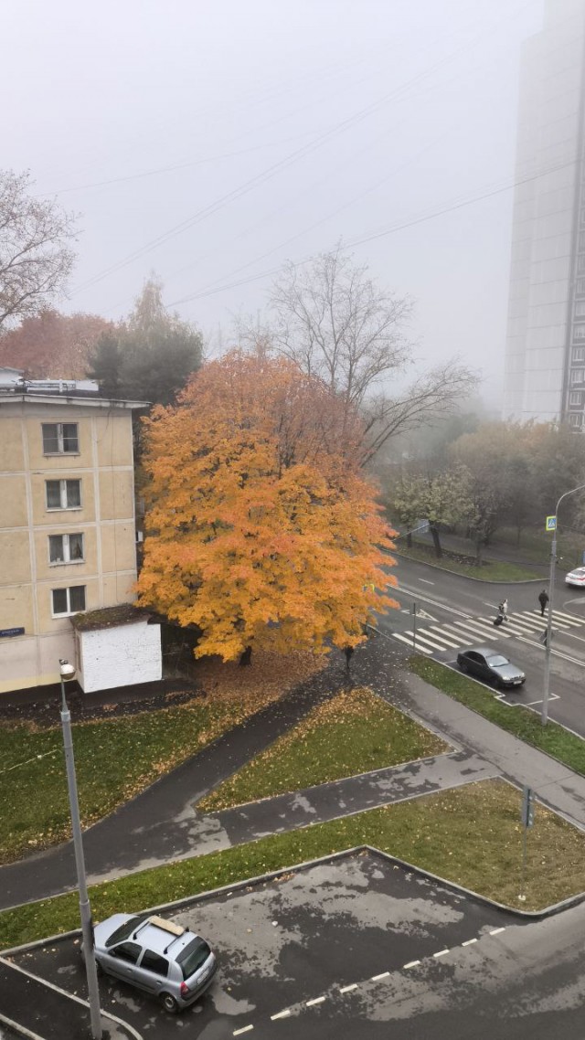 Вот такая красота у нас сегодня