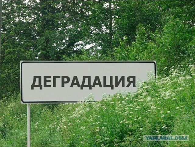 Веселые картинки в маленькую пятницу (22.10)