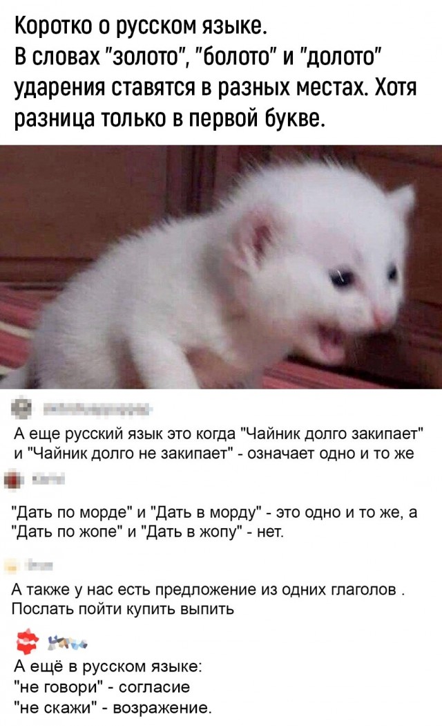 Воскресные картинки