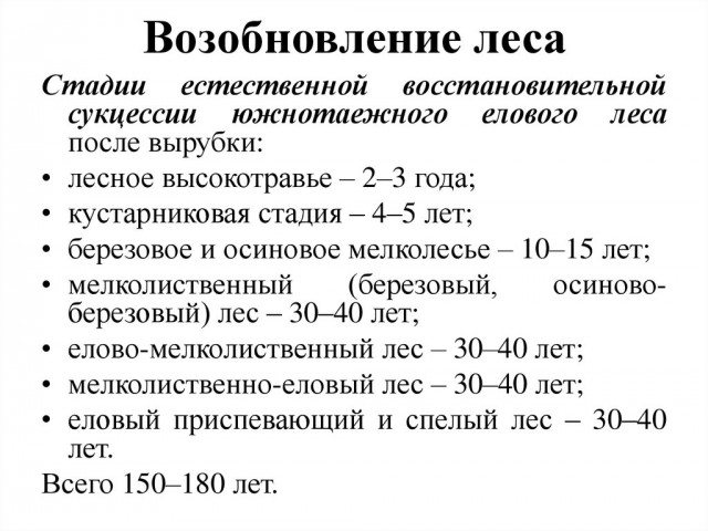 3000 гектаров векового леса под корень вырубают в Борском районе под видом земель сельхозназначения