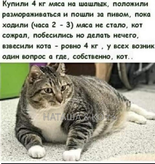 Среды картинки