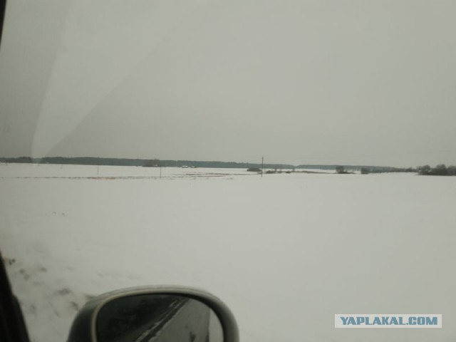 Жизнь домашнего приюта для котеек 570