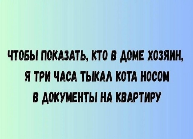 Так себе картинки 18.02.26