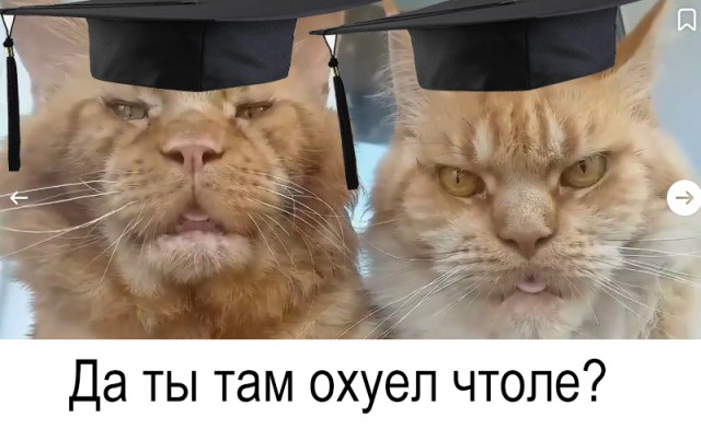 А мы долго еще будем не замечать, что 95% услуг нотариуса можно перенести в Госуслуги?⁠