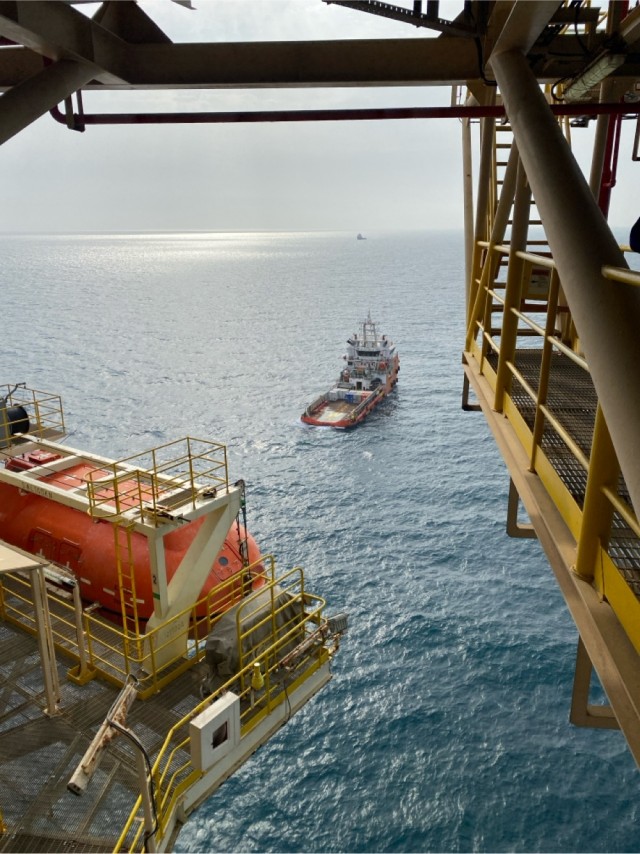 Свежие мультики подвезли