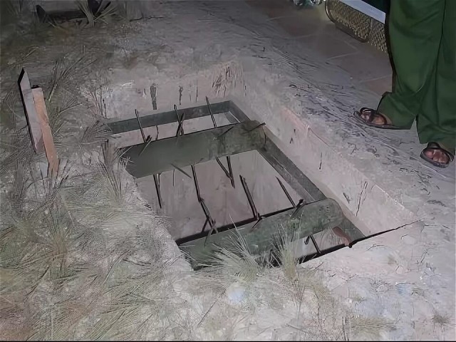 «Посажу пионы, будет красиво»